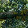 Jardin Botanico on El Moreta (2)