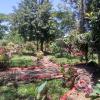 Jardin Botanico on El Moreta (5)