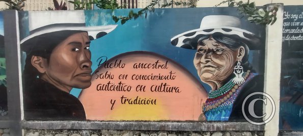 Mural on Luis Imaicela near Sor Francisca (3)