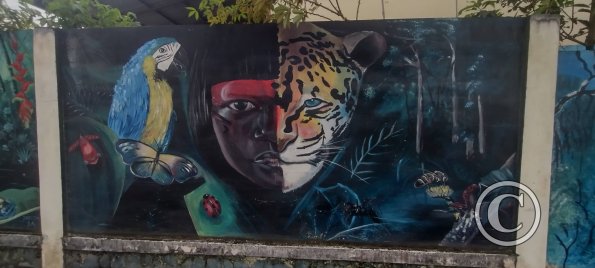 Mural on Luis Imaicela near Sor Francisca (6)