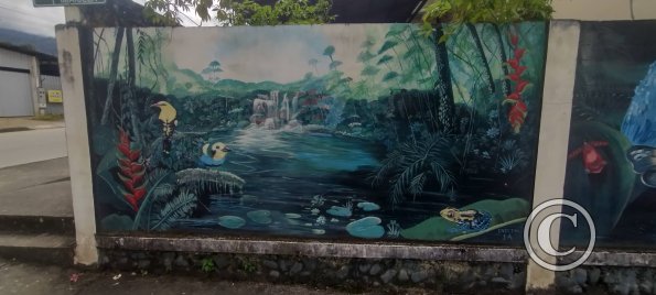 Mural on Luis Imaicela near Sor Francisca (7)