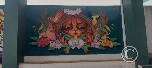 Mural on Luis Imaicela, small basketball stadium (3)