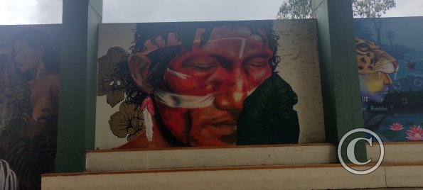 Mural on Luis Imaicela, small basketball stadium (6)
