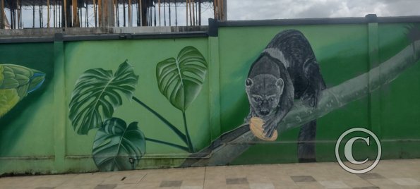 Mural on Mayor Rene Ulloa near Luis Imaicela (10)