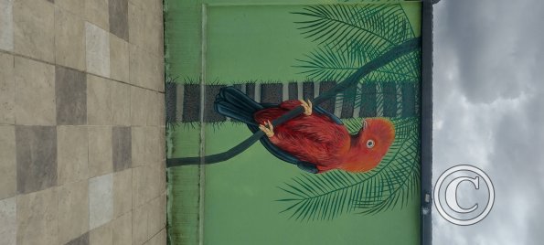Mural on Mayor Rene Ulloa near Luis Imaicela (12)