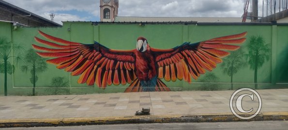 Mural on Mayor Rene Ulloa near Luis Imaicela (2)
