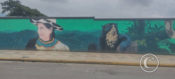 Mural on Mayor Rene Ulloa near Luis Imaicela (5)