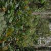 Jardin Botanico - El Gato - 1km past the river from downtown (21)