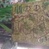 Jardin Botanico - El Gato - 1km past the river from downtown (31)