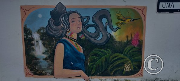 Mural at Garcia Moreno and Francisco de Orellana (3)