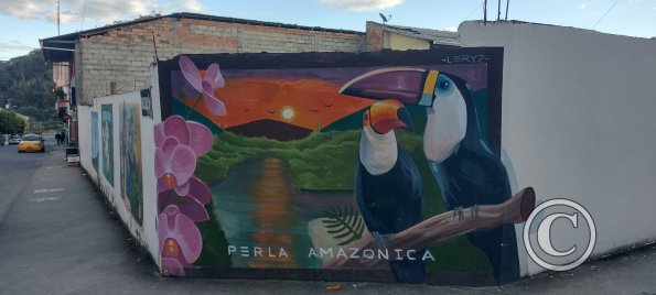 Mural at Garcia Moreno and Francisco de Orellana (4)