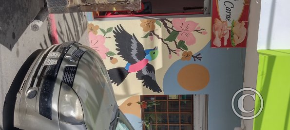 Mural on C. Cuenca near Eloy Alfaro (4)