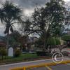 Parque Central (4)