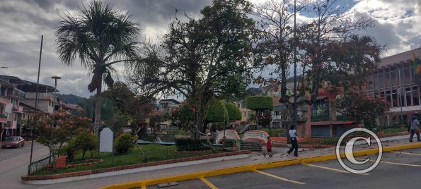 Parque Central (4)