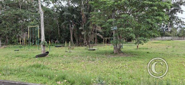 Parque Heroes del Cenepa (8)