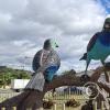 Parque Sigcha at Milton Patino and E45 (2)