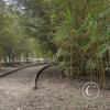 Parques Lineales along the riverside (3)
