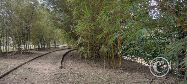 Parques Lineales along the riverside (3)