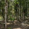 Parques Lineales along the riverside