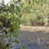 Rio Gualaquiza from Lineal Park (2)