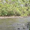 Rio Gualaquiza from Lineal Park