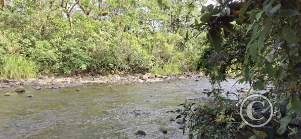 Rio Gualaquiza from Lineal Park