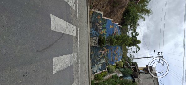 Stairs at 16 de Agosto and Franciso de Orellana