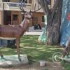 Parque Ciudadela Ecuador along Av de la Republica at Pinas (12)