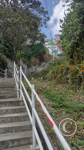 IMG_20221112_101946330_HDR