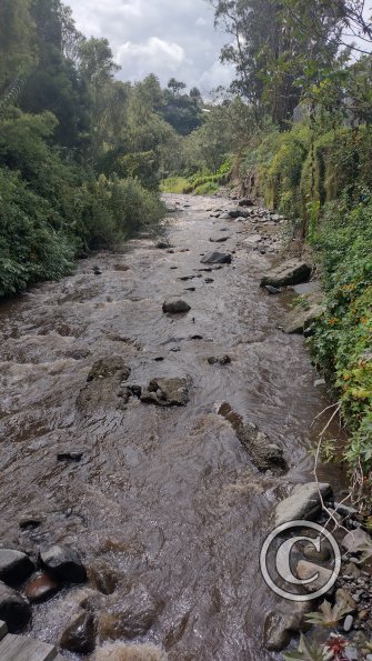 IMG_20221112_102138818_HDR