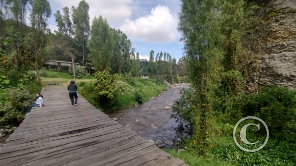 IMG_20221112_102215357_HDR
