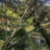 IMG_20230903_160718289_HDR
