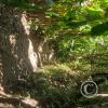 Punto Ornitologico trail (11)