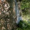 Punto Ornitologico trail (5)