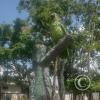 IMG_20230913_132419567_HDR