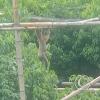 IMG_20230913_145734054