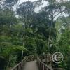 Parque Ecologico at Av Petrolera nd Av Amazonas and Galapagos