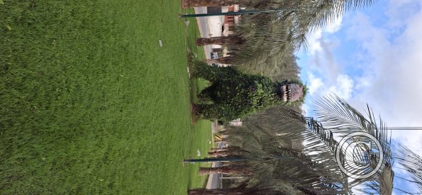 Parque de los Dinosaurios (2)