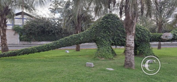 Parque de los Dinosaurios (7)