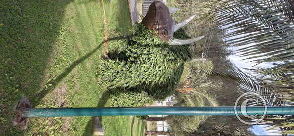 Parque de los Dinosaurios (8)