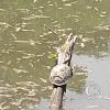 IMG_20221208_121922391