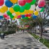 IMG_20221208_112647491_HDR