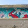IMG_20221218_153152604