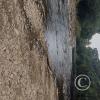 Parque Rio Caoni riverside park (3)