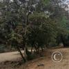 Parque Rio Caoni riverside park (6)