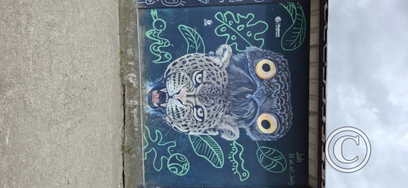 Mural on Av Alberto Zambrano at 9 de Octubre (10)