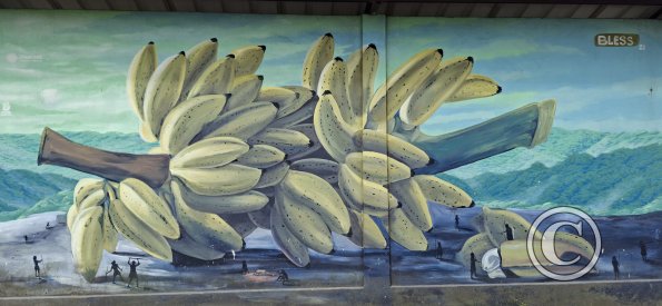 Mural on Av Alberto Zambrano at 9 de Octubre (11)