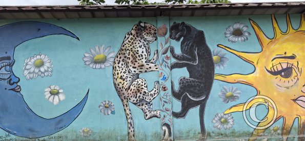 Mural on Av Alberto Zambrano at 9 de Octubre (3)