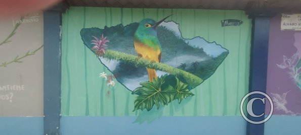 Mural on Av Francisco de Orellana near C. Bolivar (12)