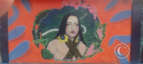 Mural on Av Francisco de Orellana near C. Bolivar (4)